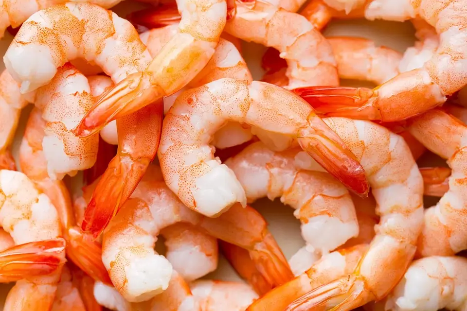 A close up of some shrimp in the water